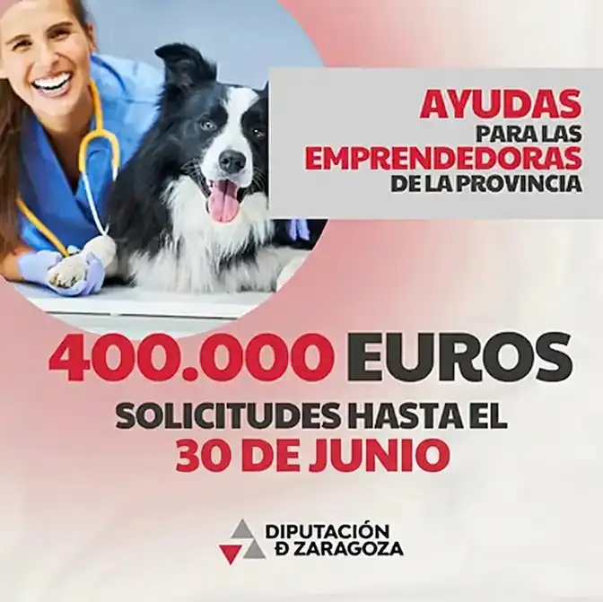 ayudas emprendedoras DPZ